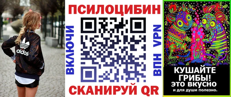 Галлюциногенные грибы Psilocybe  как найти   Юрьев-Польский 